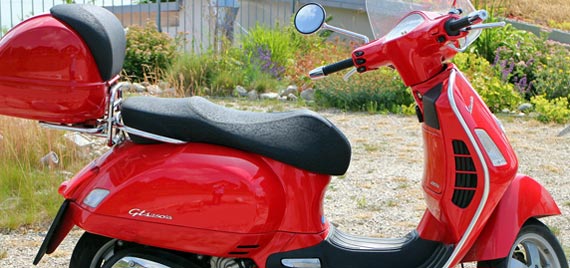 天天陪着您的电话轰炸业务网